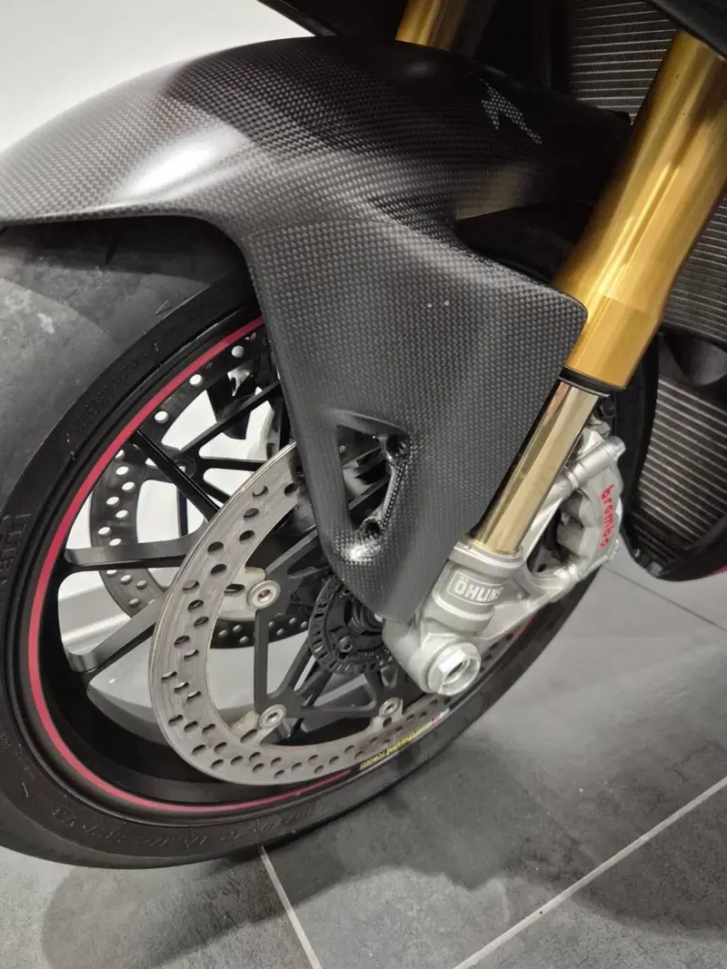 Ducati Panigale V4 Speciale 1100 (2018 - 19) (13)