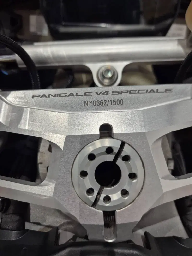 Ducati Panigale V4 Speciale 1100 (2018 - 19) (14)