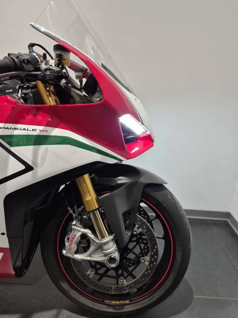 Ducati Panigale V4 Speciale 1100 (2018 - 19) (3)