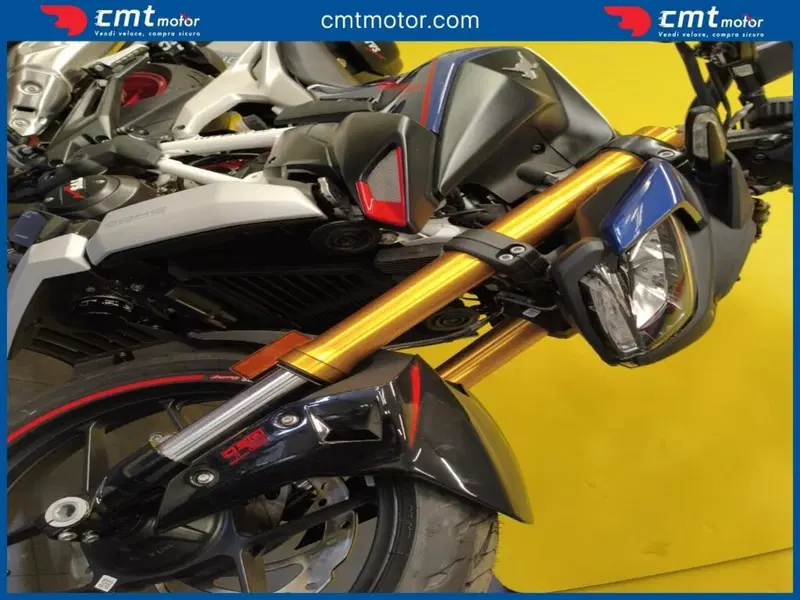 TVS Motor RTR 310 Plus (2024 - 26) (2)