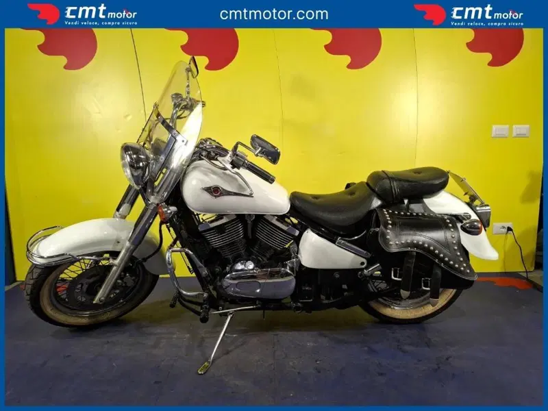 Kawasaki VN 800 Classic (2001 - 06) (2)