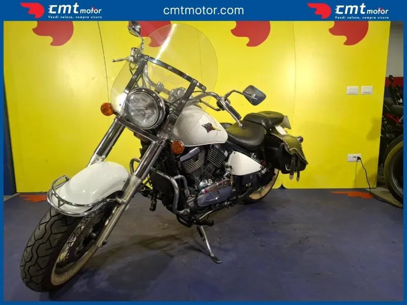 Kawasaki VN 800 Classic (2001 - 06) (4)