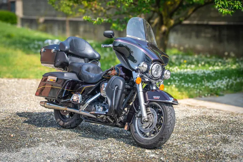 Harley-Davidson 1450 Electra Glide Standard (2001 - 03) - FLHT (3)