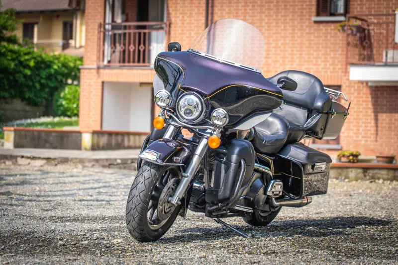 Harley-Davidson 1450 Electra Glide Standard (2001 - 03) - FLHT (4)