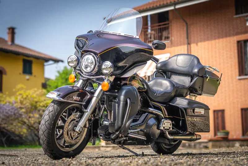 Harley-Davidson 1450 Electra Glide Standard (2001 - 03) - FLHT (8)