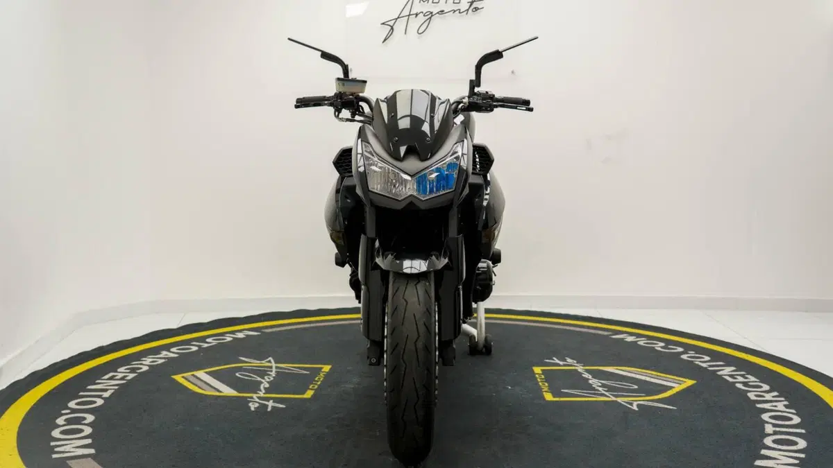 Kawasaki Z 1000 (2010 - 13) (4)