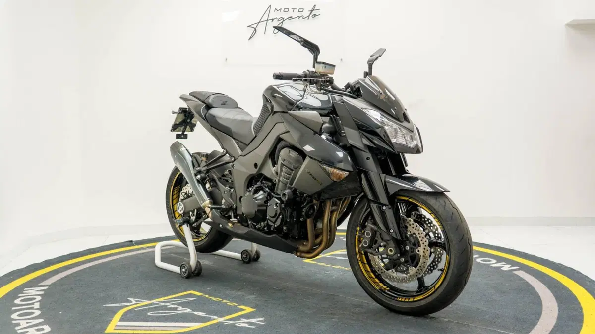Kawasaki Z 1000 (2010 - 13) (5)