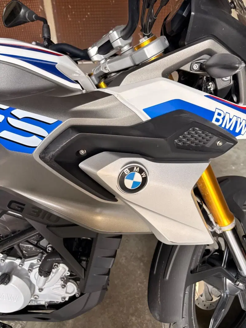 Bmw G 310 GS (2017 - 20) (4)