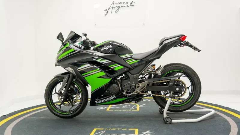 Kawasaki Ninja 300 ABS (2012 - 16) (2)