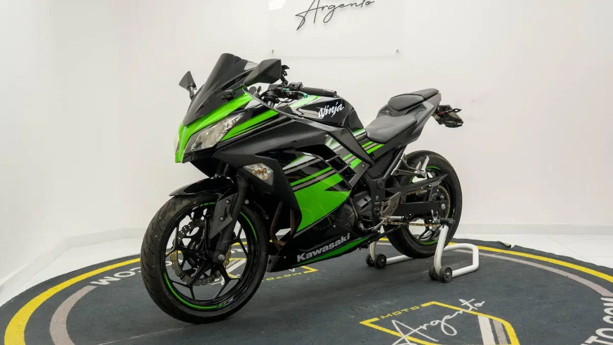 Kawasaki Ninja 300 ABS (2012 - 16) (3)