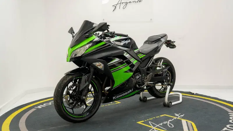 Kawasaki Ninja 300 ABS (2012 - 16) (3)