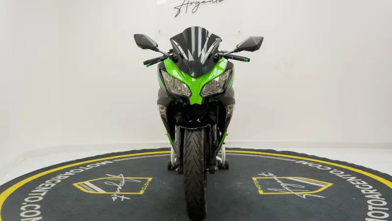 Kawasaki Ninja 300 ABS (2012 - 16) (4)