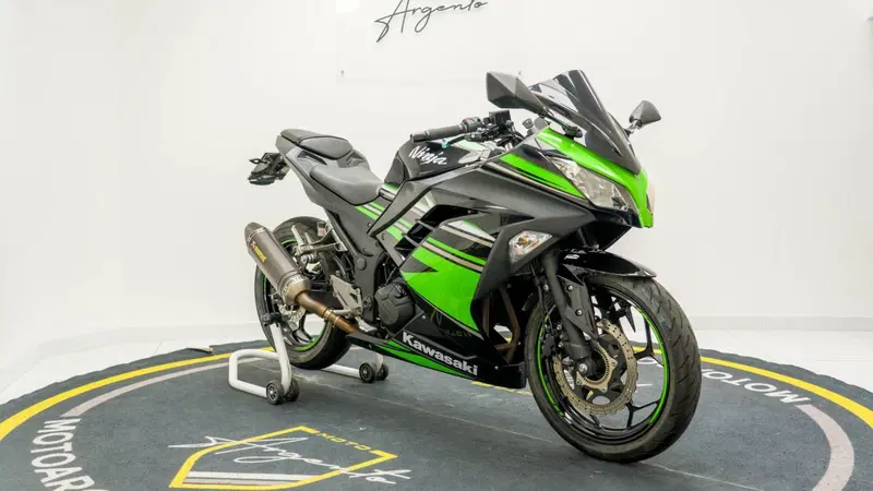 Kawasaki Ninja 300 ABS (2012 - 16) (5)