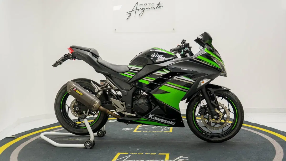 Kawasaki Ninja 300 ABS (2012 - 16) (6)