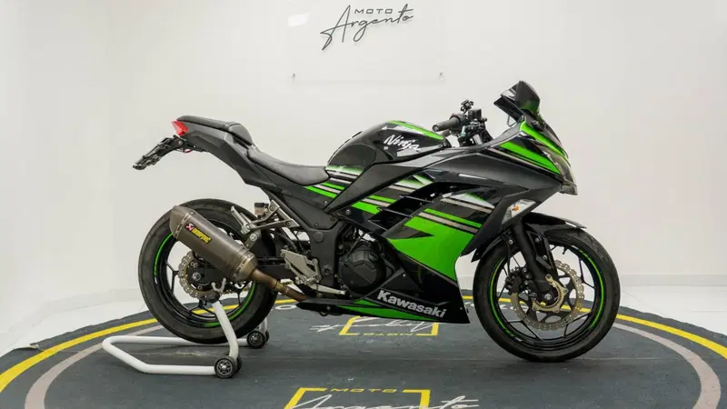 Kawasaki Ninja 300 ABS (2012 - 16) (6)