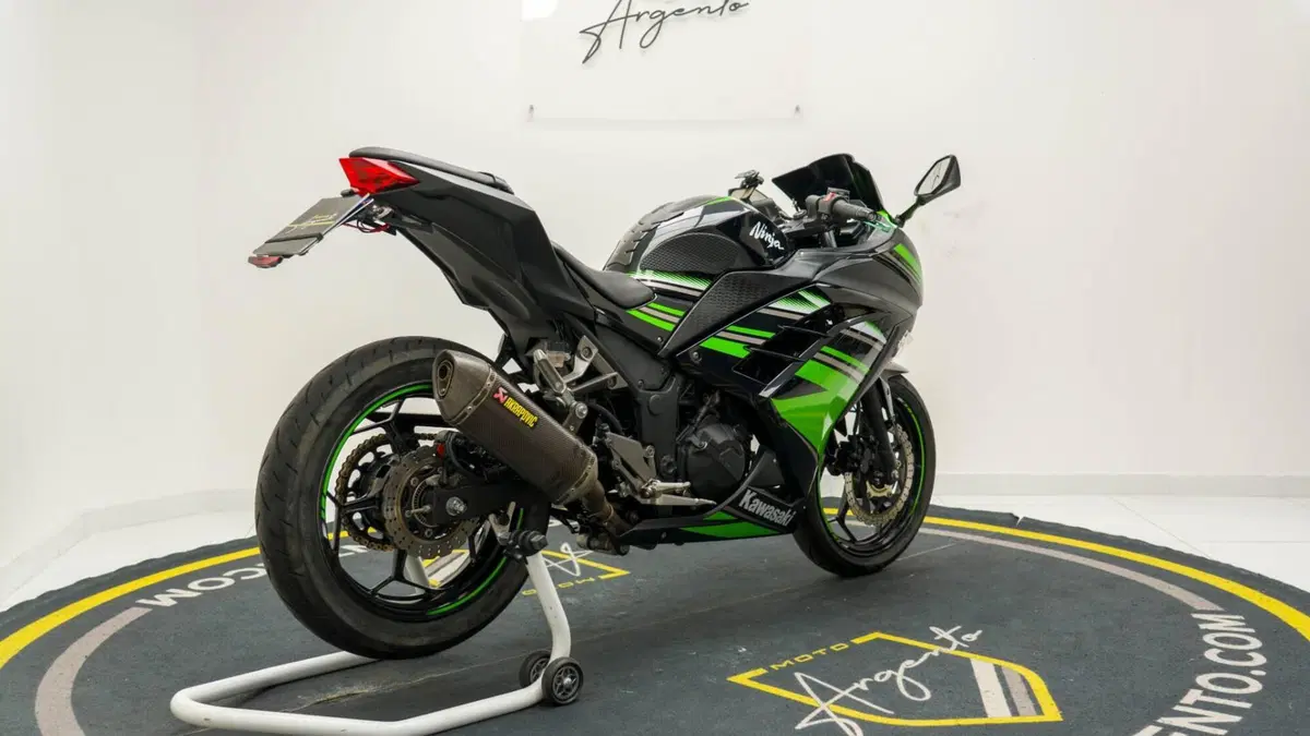 Kawasaki Ninja 300 ABS (2012 - 16) (7)
