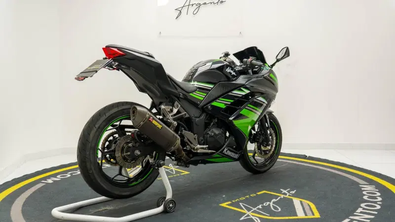 Kawasaki Ninja 300 ABS (2012 - 16) (7)