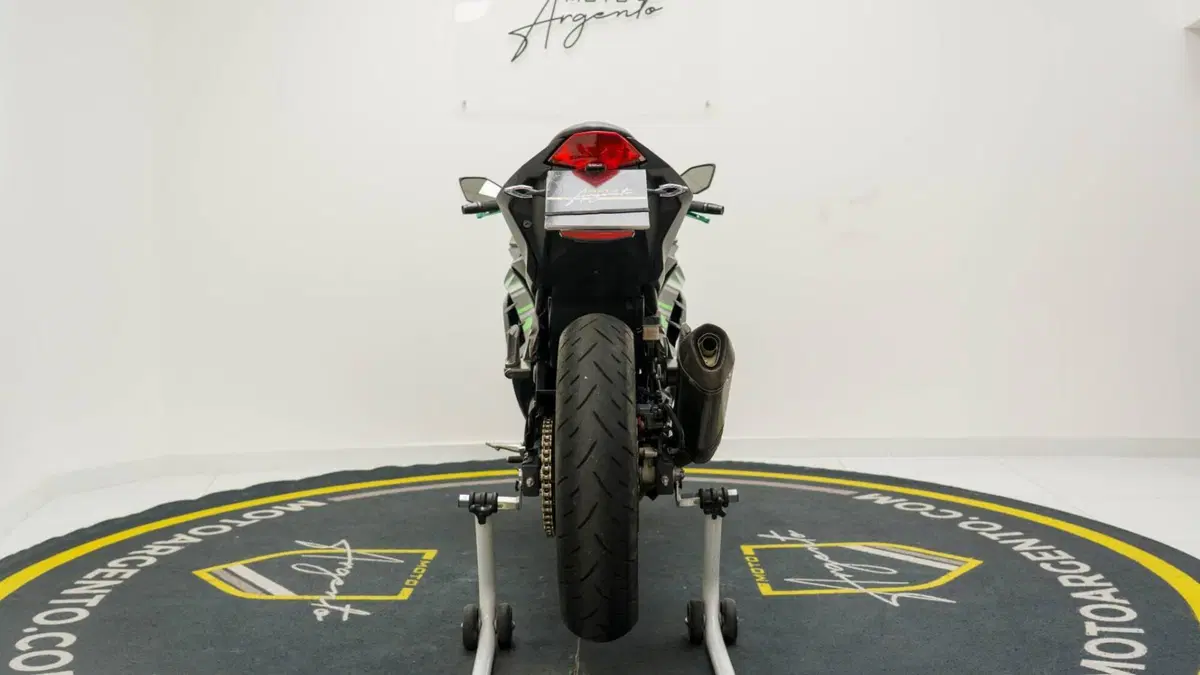 Kawasaki Ninja 300 ABS (2012 - 16) (8)
