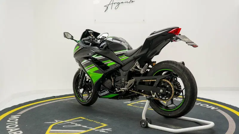 Kawasaki Ninja 300 ABS (2012 - 16) (9)