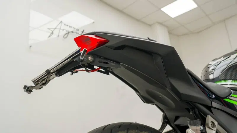 Kawasaki Ninja 300 ABS (2012 - 16) (13)