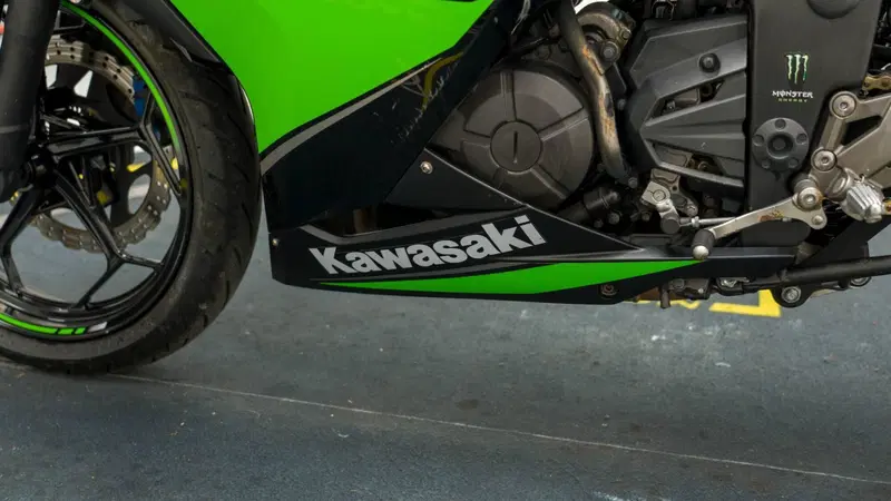 Kawasaki Ninja 300 ABS (2012 - 16) (16)
