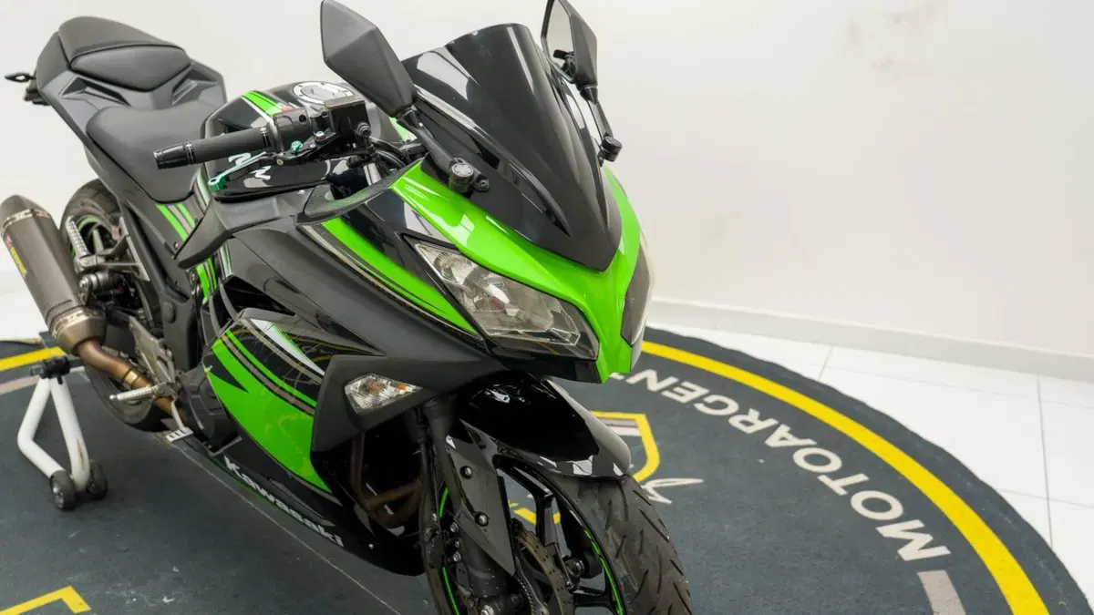 Kawasaki Ninja 300 ABS (2012 - 16) (17)