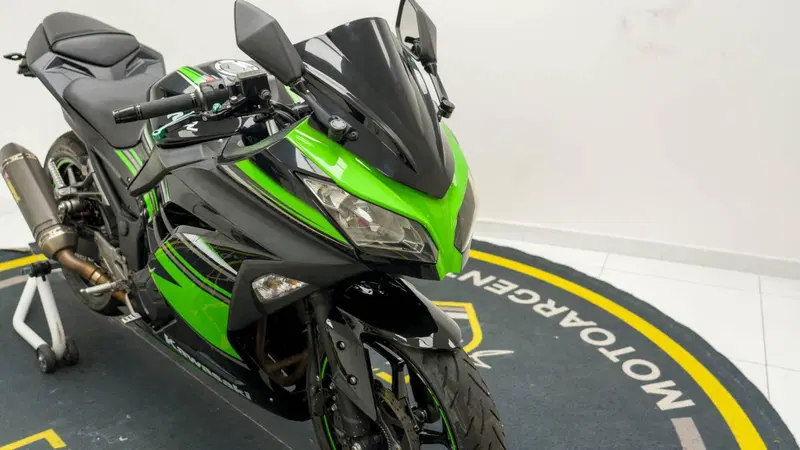 Kawasaki Ninja 300 ABS (2012 - 16) (17)