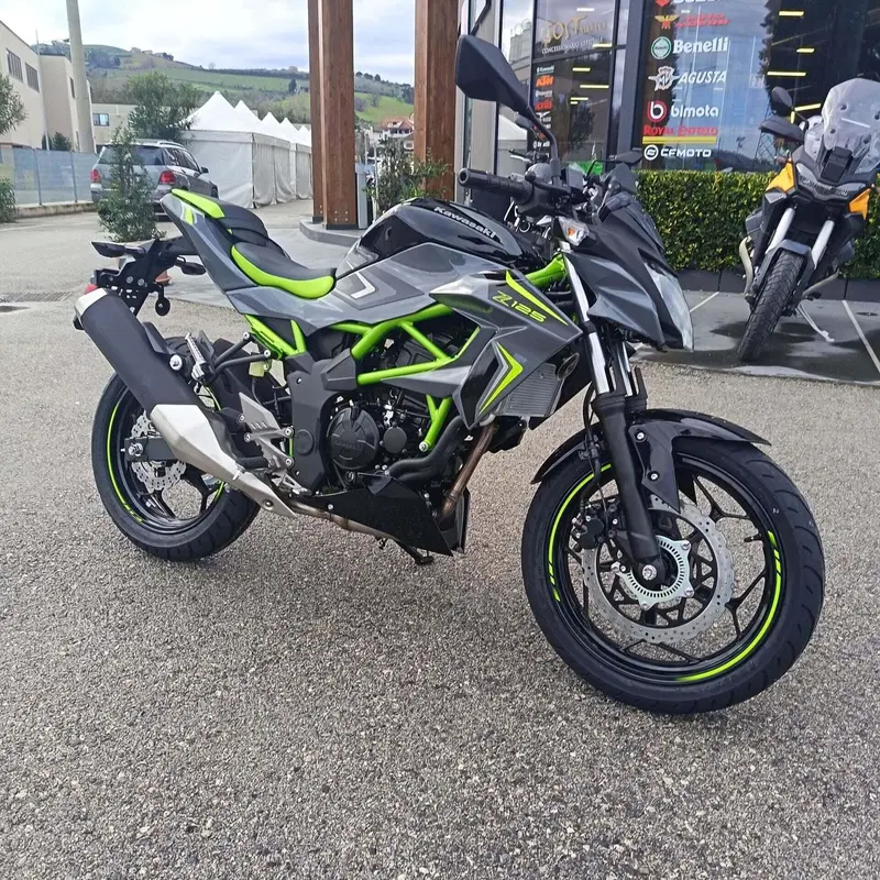 Kawasaki Z 125 (2025 - 26) (3)
