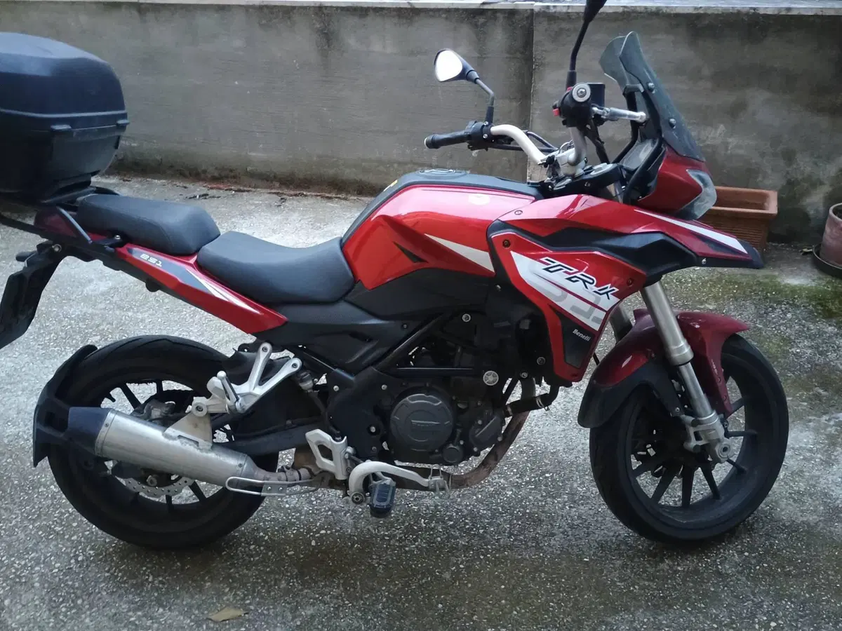 Benelli TRK 251 (2019 - 20) (5)