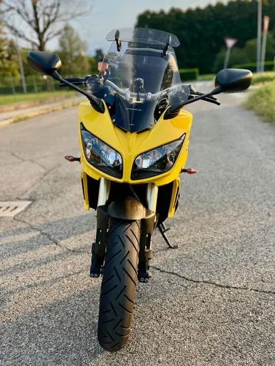 Yamaha FZ1 Fazer (2006 - 16) usata