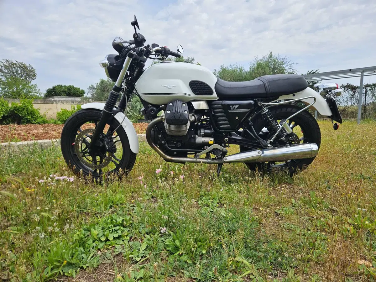 Moto Guzzi V7 Stone (2012 - 15) (9)