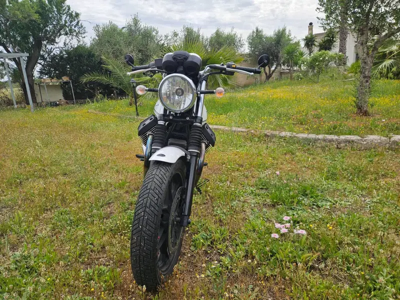 Moto Guzzi V7 Stone (2012 - 15) (10)