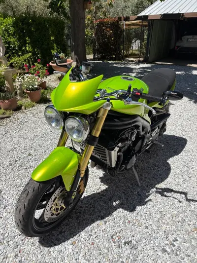 Triumph Speed Triple 1050 (2005 - 11) usata