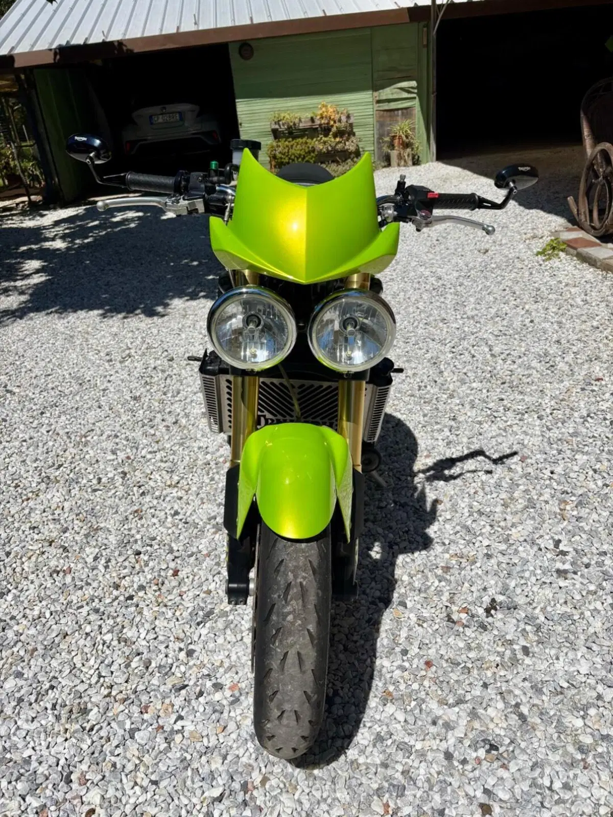 Triumph Speed Triple 1050 (2005 - 11) (2)