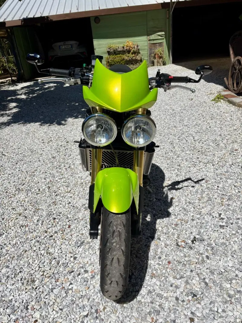 Triumph Speed Triple 1050 (2005 - 11) (2)