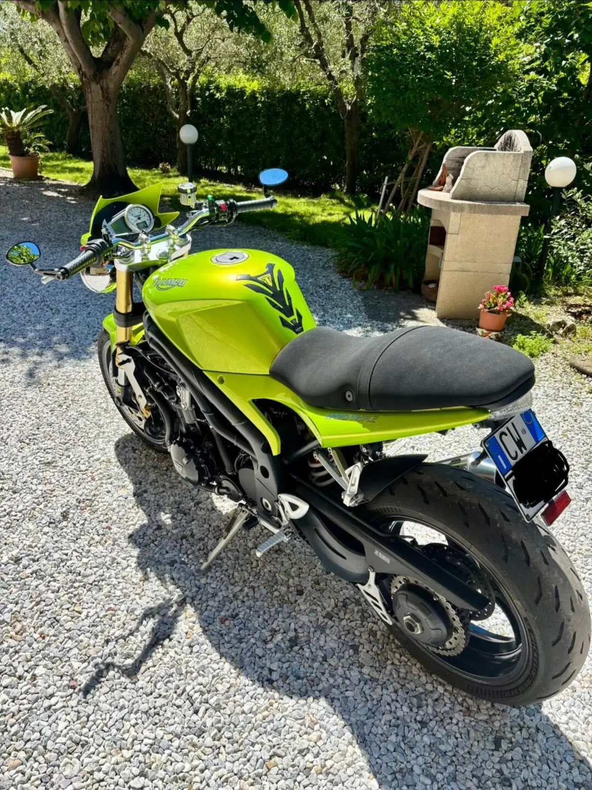 Triumph Speed Triple 1050 (2005 - 11) (3)