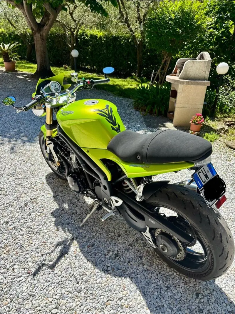 Triumph Speed Triple 1050 (2005 - 11) (3)