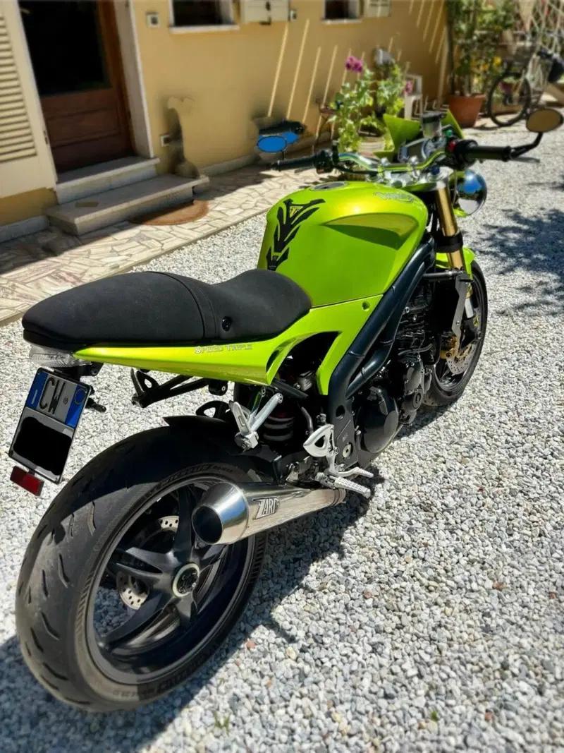 Triumph Speed Triple 1050 (2005 - 11) (6)