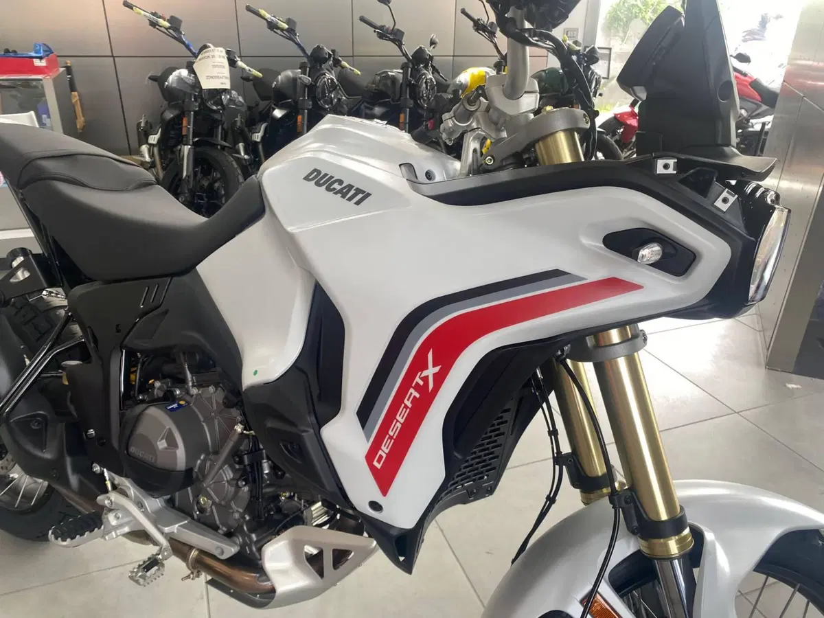 Ducati DesertX (2026) (3)