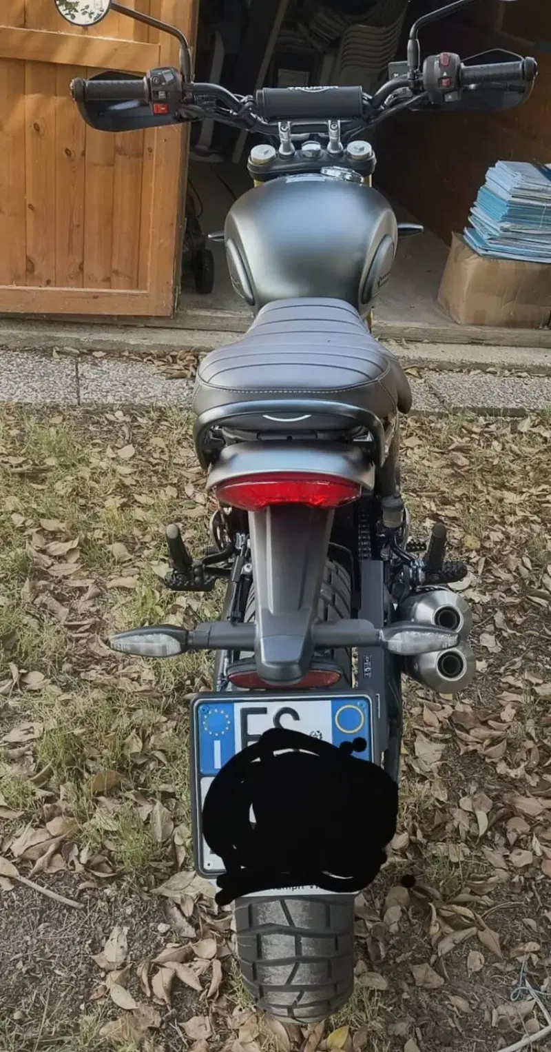 Triumph Scrambler 400 X (2024 - 26) (7)