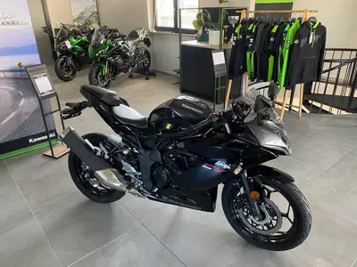 Kawasaki Ninja 125 (2025 - 26) nuova