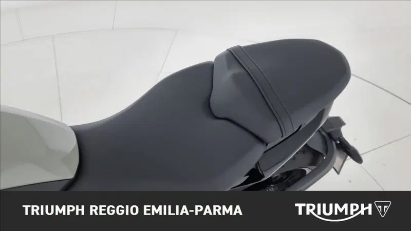 Triumph Trident 660 (2021 - 24) (13)