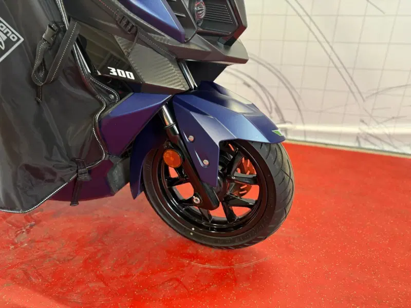 Sym Cruisym 300 (2021 - 24) (9)