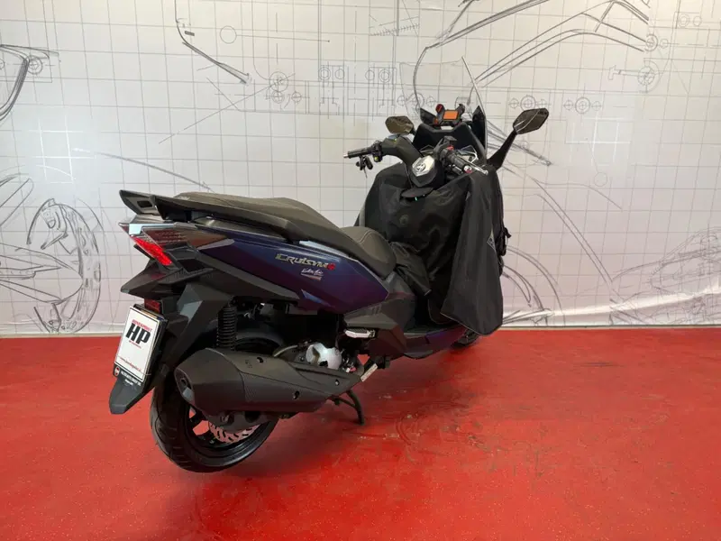 Sym Cruisym 300 (2021 - 24) (3)