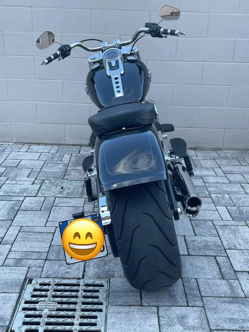 Harley-Davidson Fat Boy 114 (2021 - 24) (3)