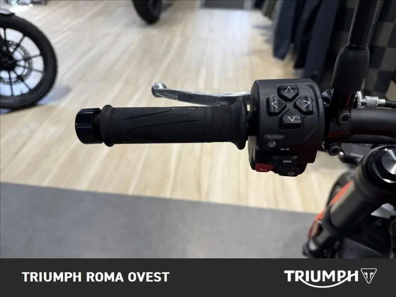 Triumph Trident 660 (2021 - 24) (17)