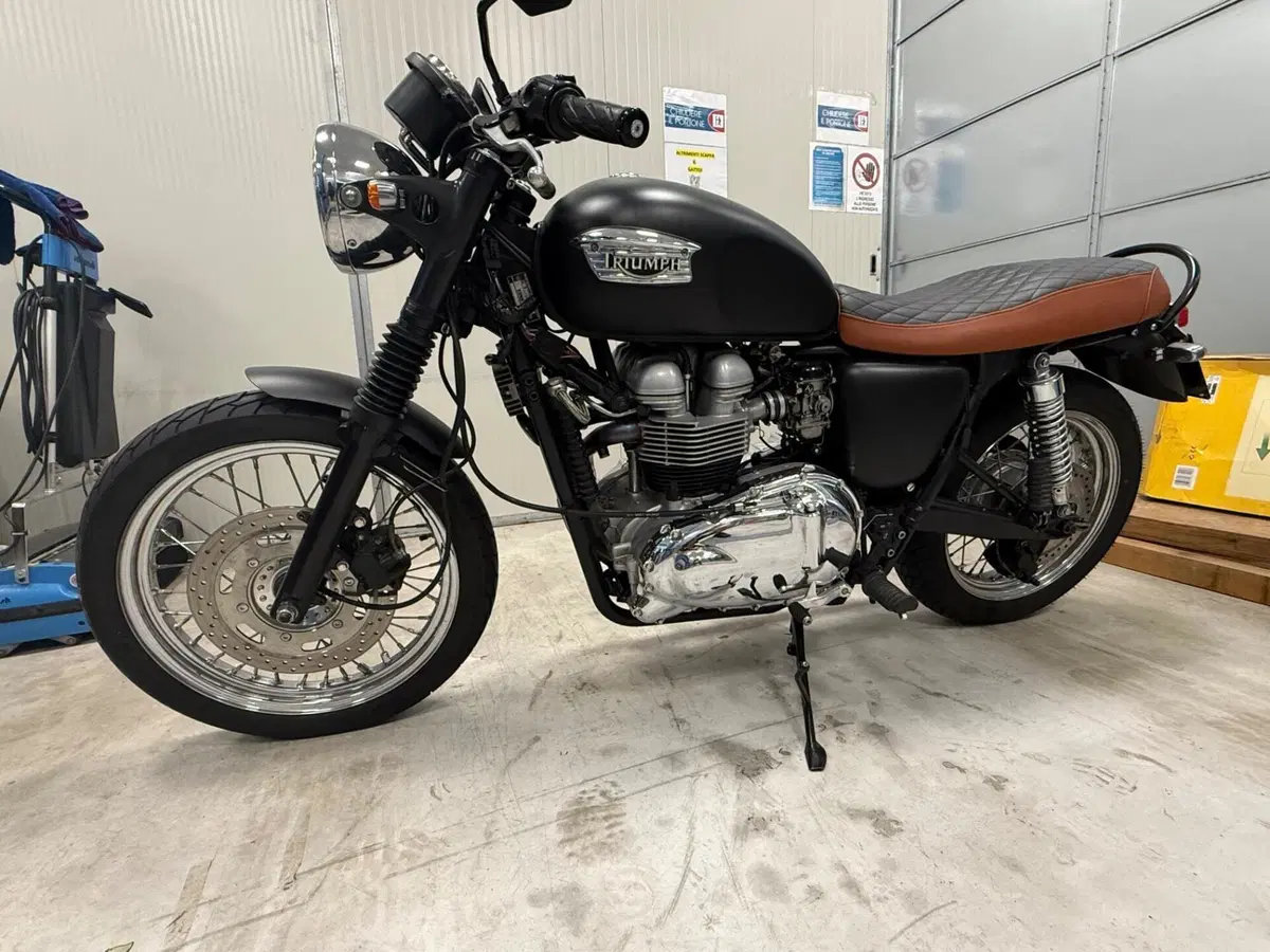 Triumph Bonneville 800 (2000 - 01) (2)