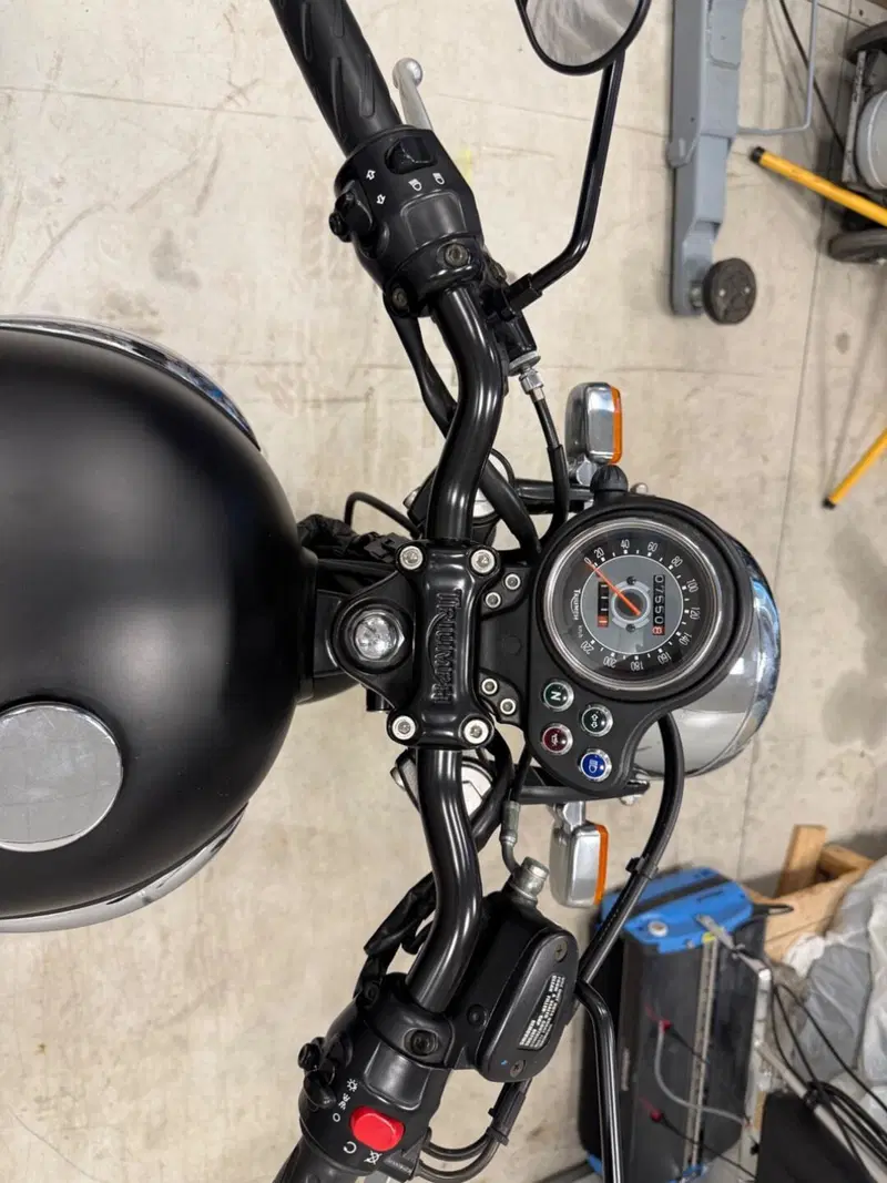 Triumph Bonneville 800 (2000 - 01) (4)