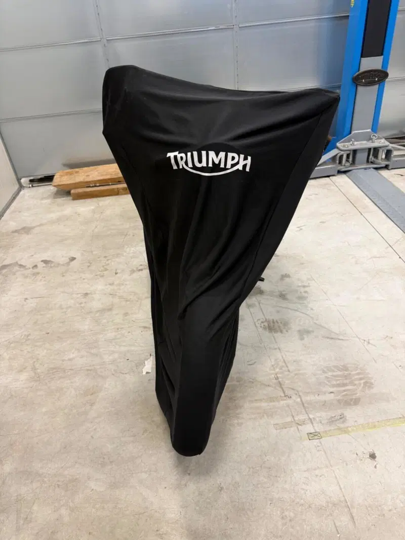 Triumph Bonneville 800 (2000 - 01) (7)
