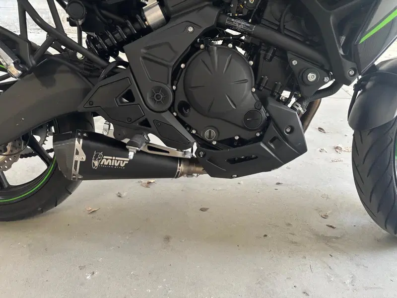 Kawasaki Versys 650 Tourer (2025 - 26) (4)